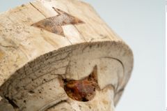Foto von Eisenpilzknaufschwert (NHMW-PRAE-025265)